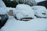 P1020051 Snow on cars